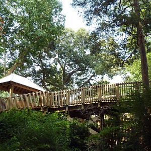 Acacia Station - Giraffe Deck