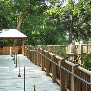 Acacia Station - Giraffe Deck