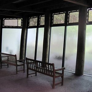 Africa-Western Gorilla Viewing Shelter