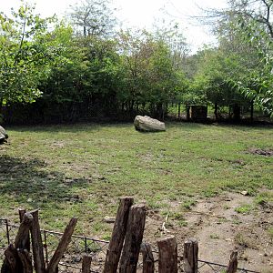 Africa-Aldabra Giant Tortoise Exhibit