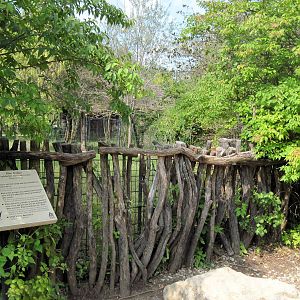 Africa-Blue Duiker Exhibit