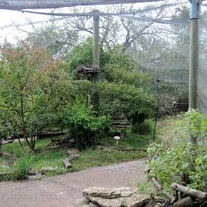 Africa-Scrubland Aviary