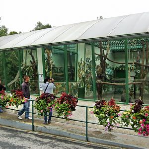 Enclosure of baboons and macaques.