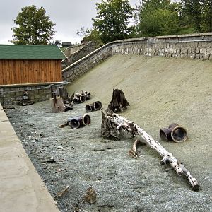 Enclosure of slender-tailed meerkats