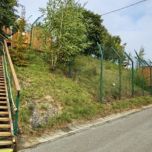 Enclosure of Eurasian lynx