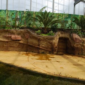 Hippodom - land area