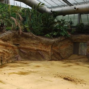 Hippodom - land area