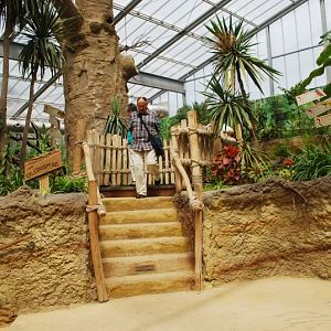 Rostrum at the hippo exhibit