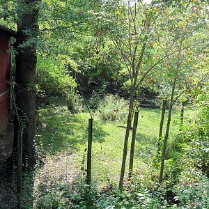 Africa-Secretary Bird Exhibit