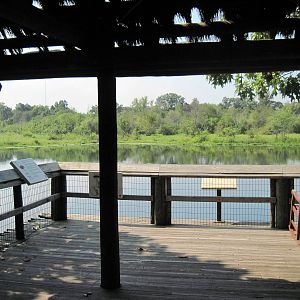 Africa-Viewing Deck