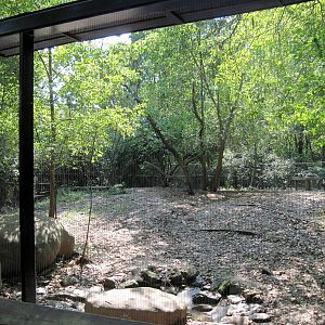 Africa-African Wild Dog Exhibit