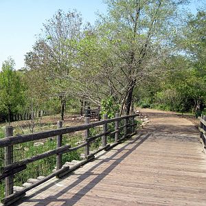 Africa-Boardwalk