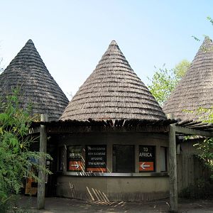 Africa-Huts