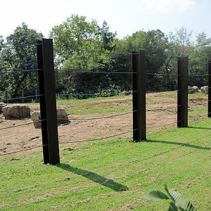 Africa-African Elephant Exhibit