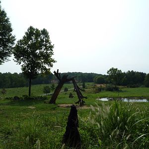 7-Acre African Elephant Exhibit