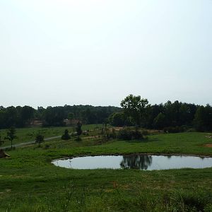 7-Acre African Elephant Exhibit
