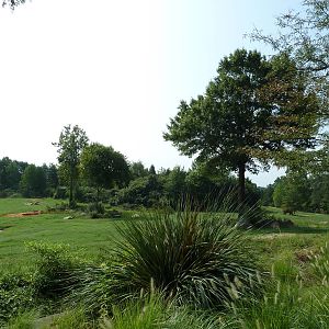 7-Acre African Elephant Exhibit