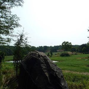 7-Acre African Elephant Exhibit