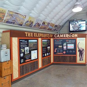 African Elephant Research Station