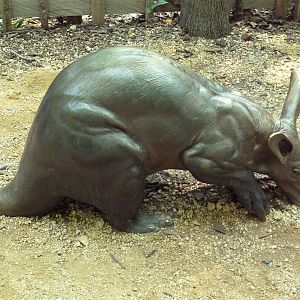 Aardvark Statue