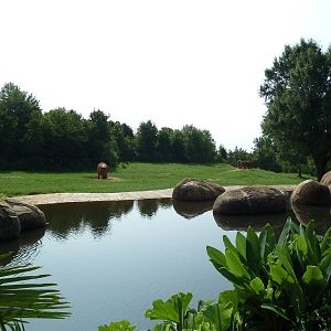 7-Acre African Elephant Exhibit