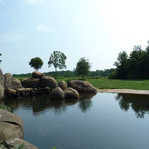 7-Acre African Elephant Exhibit