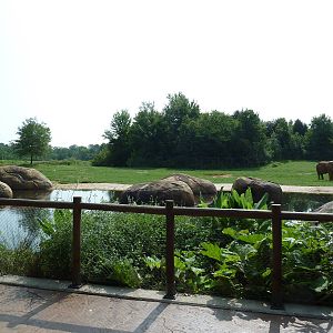 7-Acre African Elephant Exhibit