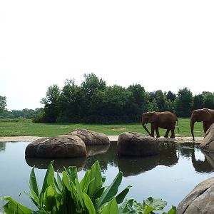 7-Acre African Elephant Exhibit