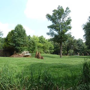 3.5 Acre Forest Edge - Reticulated Giraffe/Zebra/Ostrich Exhibit
