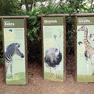 3.5 Acre Forest Edge Signage - Reticulated Giraffe/Zebra/Ostrich Exhibit