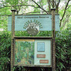 Chimpanzee Exhibit - Entrance Sign
