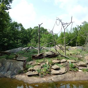 Ring-Tailed/Red Ruffed Lemur Island