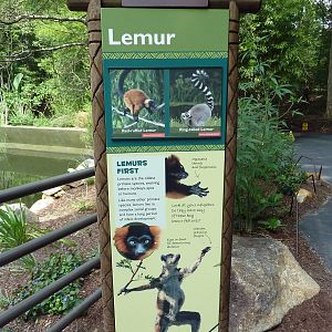 Ring-Tailed/Red Ruffed Lemur Island - Sign