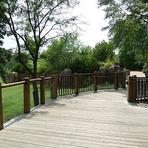 40-Acre Mixed-Species Exhibit - Boardwalk