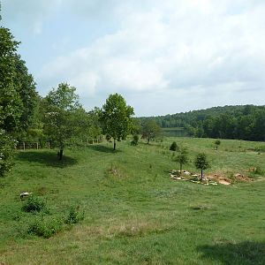 40-Acre Mixed-Species Exhibit