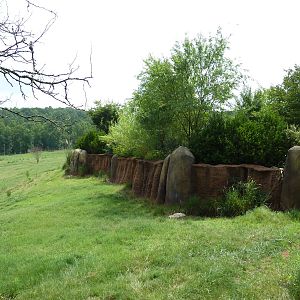 40-Acre Mixed-Species Exhibit
