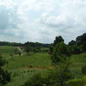 40-Acre Mixed-Species Exhibit