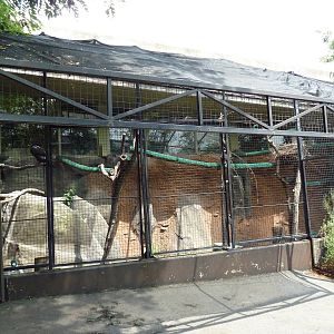 Bateleur Eagle Exhibit