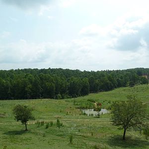 40-Acre Mixed-Species Exhibit