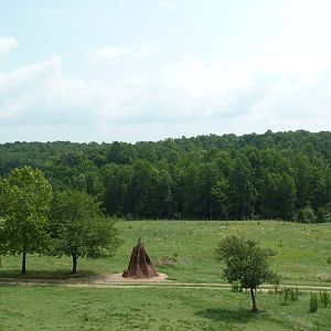 40-Acre Mixed-Species Exhibit