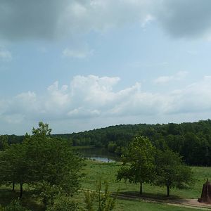 40-Acre Mixed-Species Exhibit