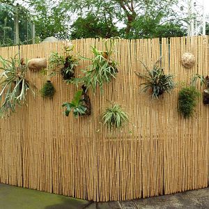 African Pavilion - Tropical Plants But Zero Animals
