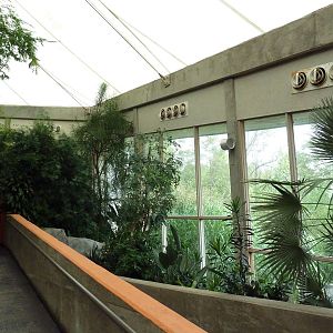 African Pavilion - Tropical Plants But Zero Animals