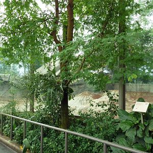 African Pavilion - Tropical Plants But Zero Animals