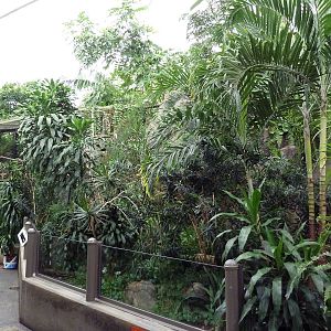African Pavilion - Tropical Plants But Zero Animals
