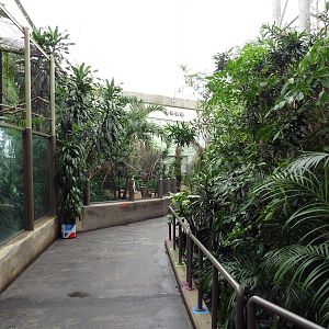 African Pavilion - Tropical Plants But Zero Animals
