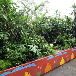 African Pavilion - Tropical Plants But Zero Animals