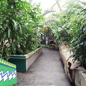 African Pavilion - Tropical Plants But Zero Animals