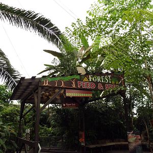 African Pavilion - Tropical Plants But Zero Animals