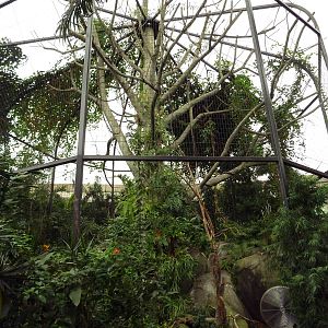 African Pavilion - Tropical Plants But Zero Animals